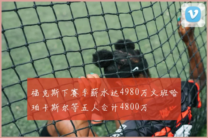 福克斯下赛季薪水达4980万文班哈珀卡斯尔等五人合计4800万