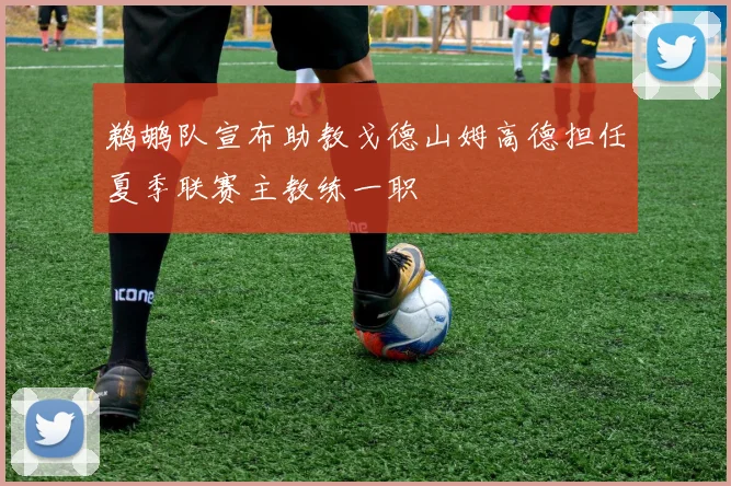 鹈鹕队宣布助教戈德山姆高德担任夏季联赛主教练一职